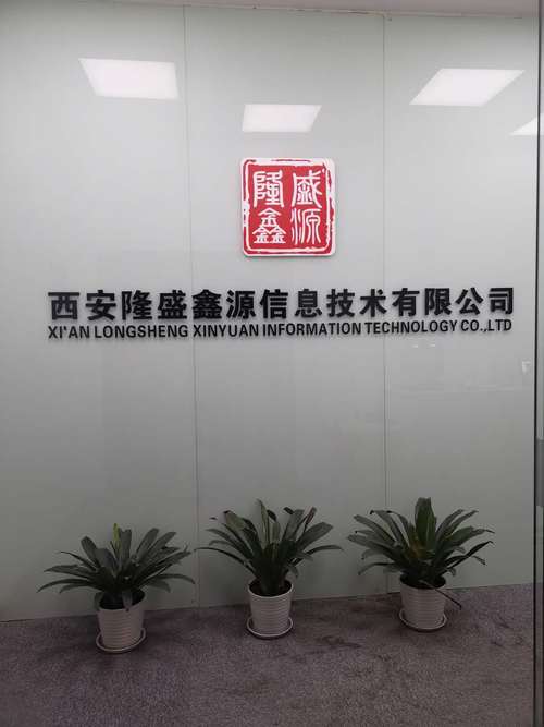 西安隆盛鑫源信息技术 专业咨询服务的行业深耕者